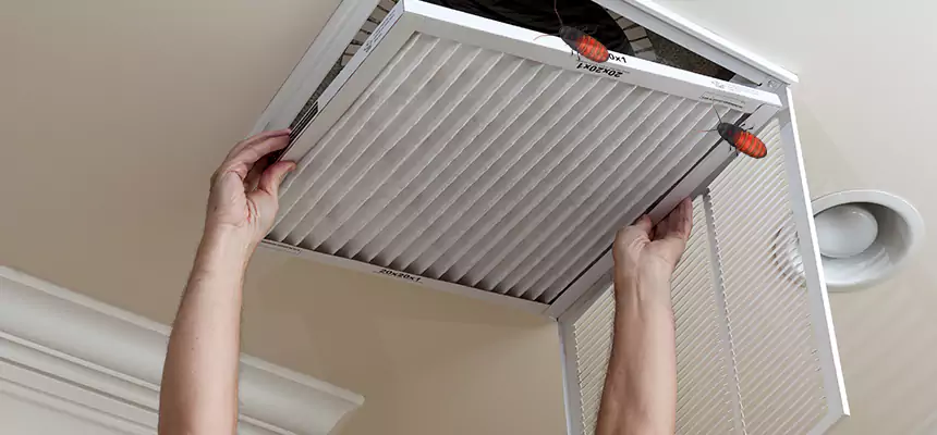 Preventive Cockroach-Proofing for Ducts in Los Altos