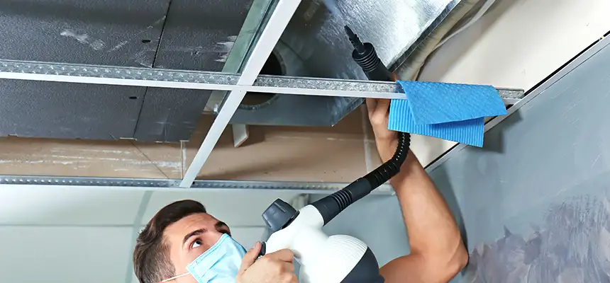 Our Air Duct Rodent Removal Services in Los Altos, CA