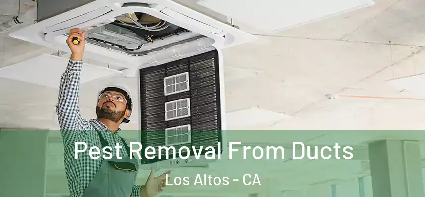 Pest Removal From Ducts Los Altos - CA