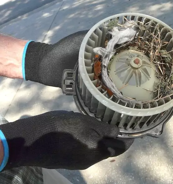 About Air Duct Mice Removal in Los Altos, CA