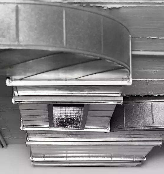 Professional Air Duct Pest Removal in Los Altos, CA