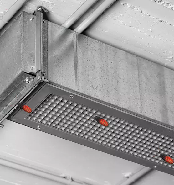 Affordable Insect Removal from Air Ducts in Los Altos, CA