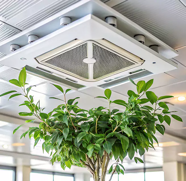 Why Homeowners & Businesses Trust Us in Los Altos, CA?