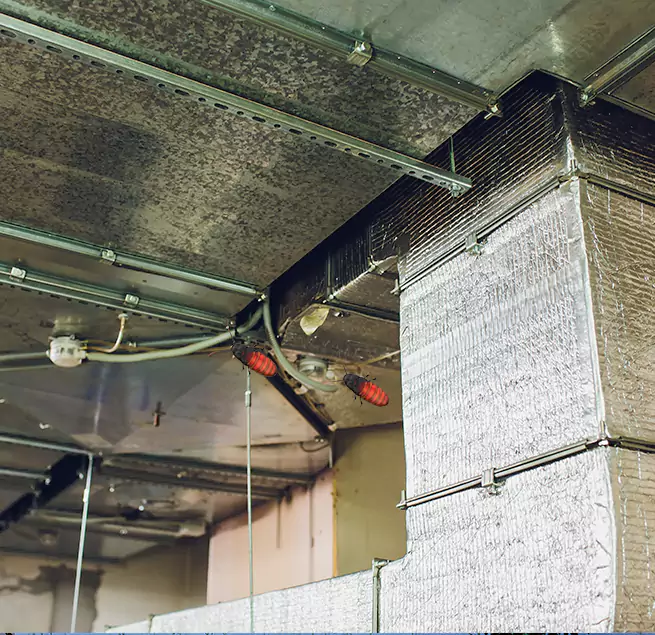 Why Homeowners & Businesses Trust Us Los Altos, CA?