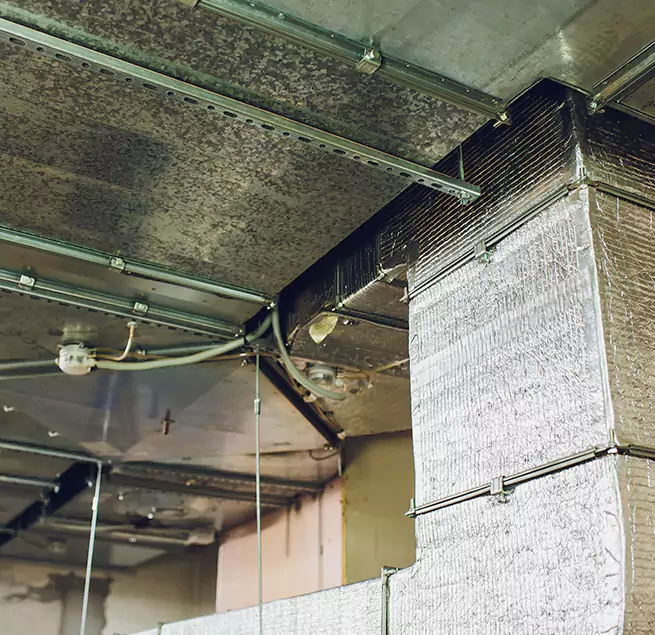 Why Homeowners & Businesses Trust Us in Los Altos, CA?